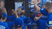 Blue Jays Baseball GIF by Toronto Blue Jays
