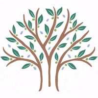 MagicTreeToys magictreetoys magic tree toys GIF