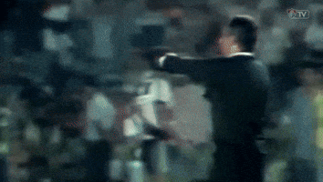 campeÃ£o GIF by Fluminense Football Club