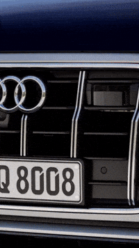 audichile  GIF