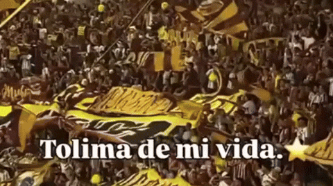 Vamos Deportes Tolima GIF