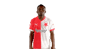 Football Soccer Sticker by SK Slavia Praha
