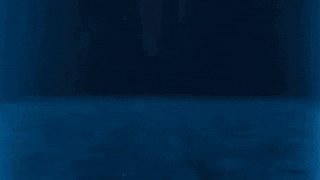Community Bitcoin GIF by Nexus