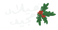 Merry Christmas Sticker by Natalie Tahhan