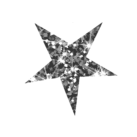 antonellaiturria giphyupload glitter moda estrella Sticker