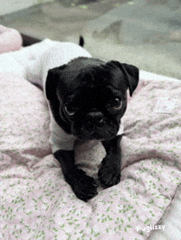 I Love You Be Mine GIF