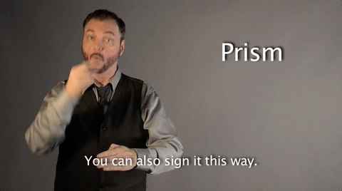 sign language prism GIF by Sign with Robert