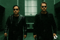 The Matrix Sunglasses GIF by LitVM