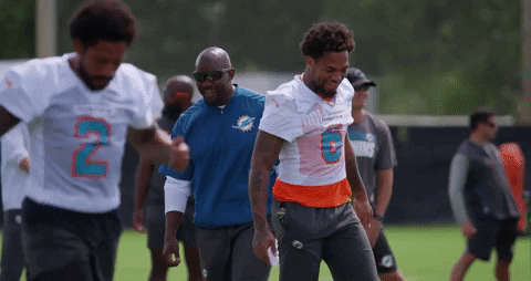 GIF by Miami Dolphins