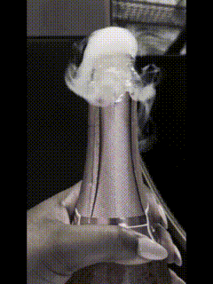 GIF by GoldmineAndCoco