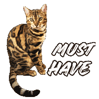 Must Have Cat Sticker by Kitty Fuchs