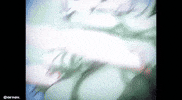 Nell Bleach GIF