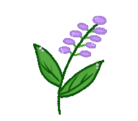 Flowers Spring Sticker