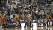 NevadaWolfPack college basketball nevada wolf pack unr GIF