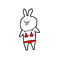 Japan Rabbit Sticker