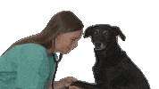 Hund Vet Sticker by DogRoyalz