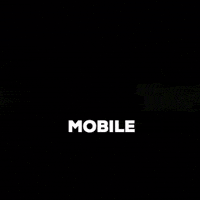 tailwagginuae tailwaggin GIF