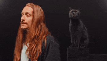 The Home Team Cat GIF by Thriller Records