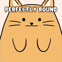 Peak Performance Cute Cat GIF by MESA My Emotional Support Animal