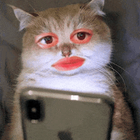 Sav GIF by Pedro Sobral