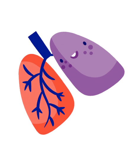julimfons giphyupload scout tejidos pulmones Sticker