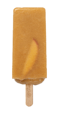 Summer Ice Sticker by Paleta Loca