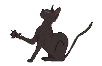 Sphynx Sticker
