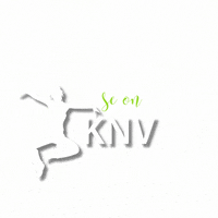 Slogan Omg GIF by Knv