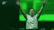 ultra music festival GIF by Hardwell