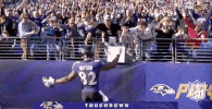Baltimore Ravens Football GIF by NFL