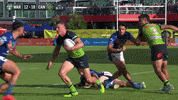 Try Nrl GIF by Canberra Raiders