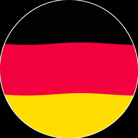 VoiceCrafters giphygifmaker germany flag politics GIF