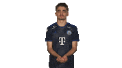 Hamburg Sticker by Bundesliga