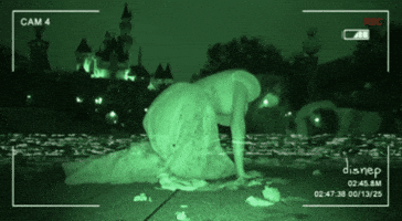 Theme Park Horror GIF