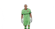 Bayer 04 Goal GIF by Bayer 04 Leverkusen
