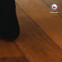 sport girls GIF by Omrop Fryslân