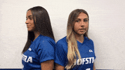 HofstraAthletics soccer hofstra GIF