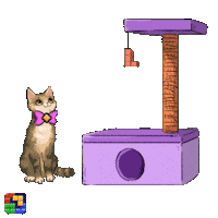 Cat Feed Sticker