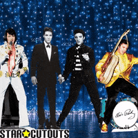 Elvis Presley Yes GIF by STARCUTOUTSUK