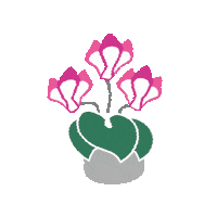 Flower Sticker