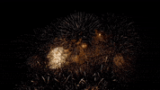 GIF by DermFx
