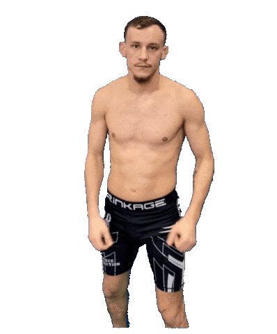 Mma Champion Sticker by Old School Academy