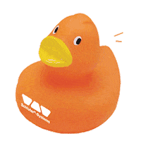 SchluterSystemsNA schlüter schluter systems flood test fred schluter duck Sticker