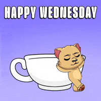 Happy Wednesday Morning GIF by Kabu