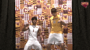 Cuc GIF by CUCougars