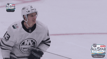 nhl sports sport hockey nhl GIF