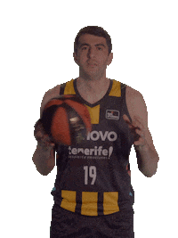 Liga Endesa Ball Sticker by ACB