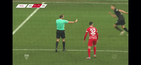 vertikalpass  GIF