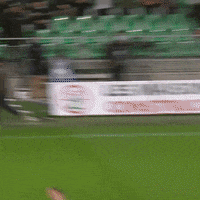 Celebration Goal GIF by AS Saint-Étienne