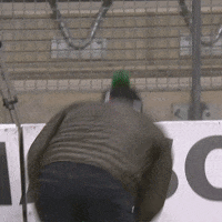 Celebration Rage GIF by AS Saint-Étienne
